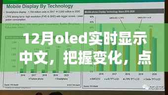 12月OLED中文实时显示,把握变化,点亮未来——展现你的中文魅力