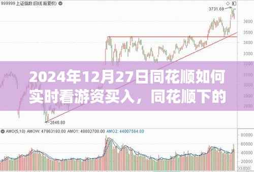 同花顺下的游资买入实时观察,游资背后的故事与股市之旅的启示