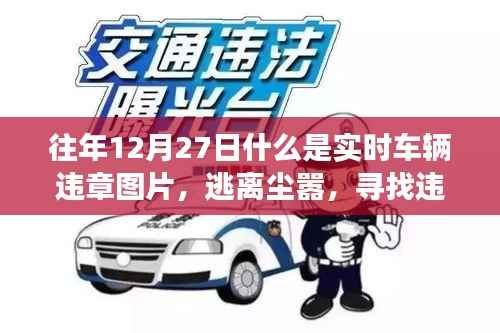 实时车辆违章图片探寻之旅,逃离尘嚣,寻找违章与美景的交融之旅