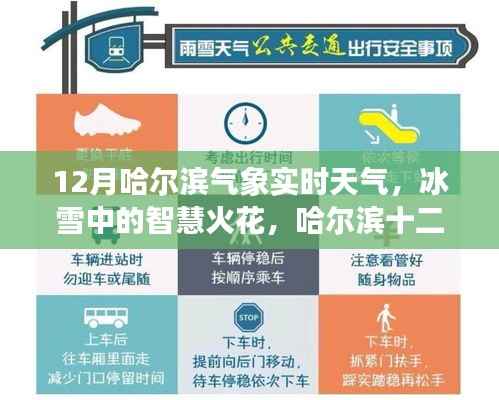 哈尔滨十二月冰雪智慧,气象实时观察与启示录