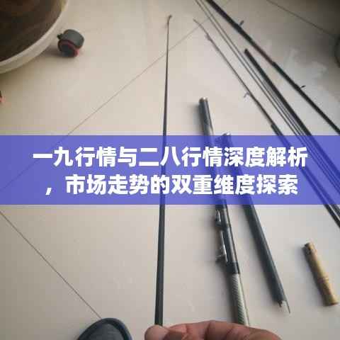 一九行情与二八行情深度解析,市场走势的双重维度探索