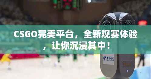 CSGO完美平台,全新观赛体验,让你沉浸其中!