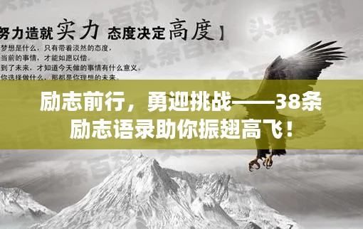 励志前行,勇迎挑战——38条励志语录助你振翅高飞!