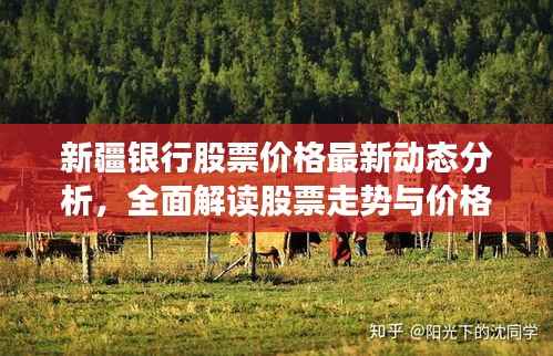新疆银行股票价格最新动态分析，全面解读股票走势与价格表