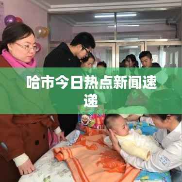 哈市今日热点新闻速递