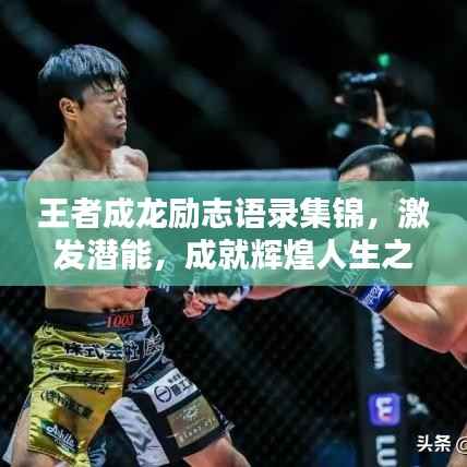 王者成龙励志语录集锦,激发潜能,成就辉煌人生之路