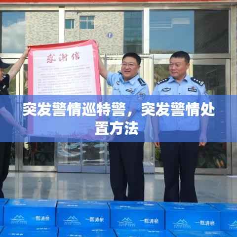 突发警情巡特警,突发警情处置方法