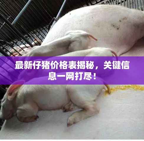 目不转睛 第3页