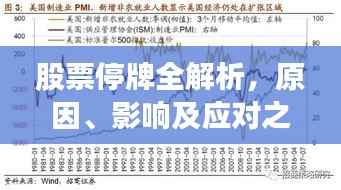 股票停牌全解析,原因、影响及应对之策