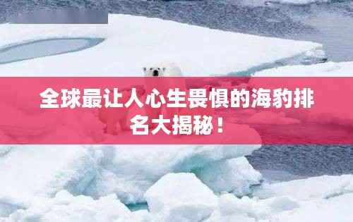 全球最让人心生畏惧的海豹排名大揭秘!