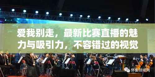 爱我别走,最新比赛直播的魅力与吸引力,不容错过的视觉盛宴!