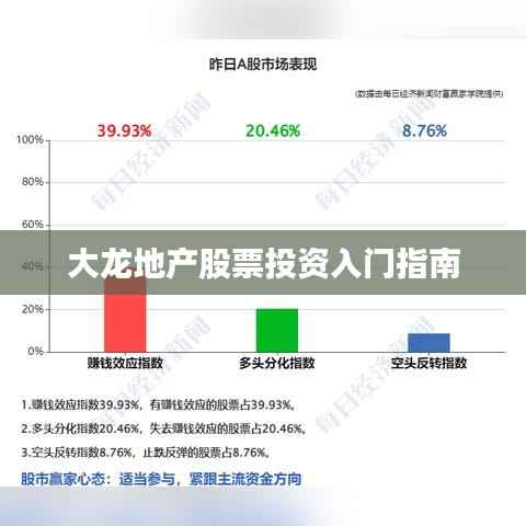 大龙地产股票投资入门指南