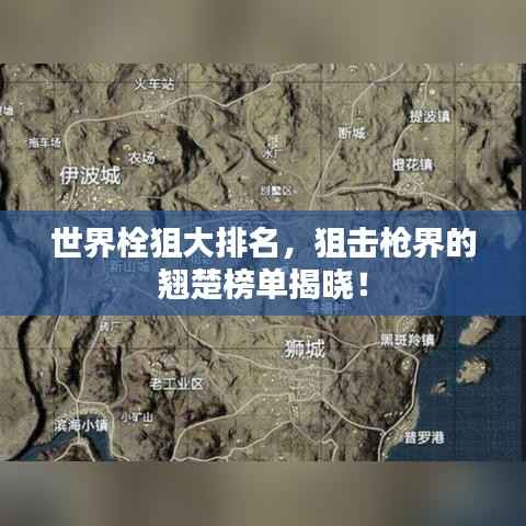 世界栓狙大排名,狙击枪界的翘楚榜单揭晓!