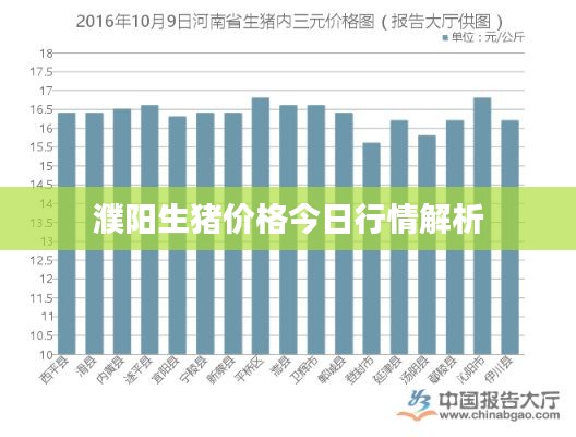 濮阳生猪价格今日行情解析