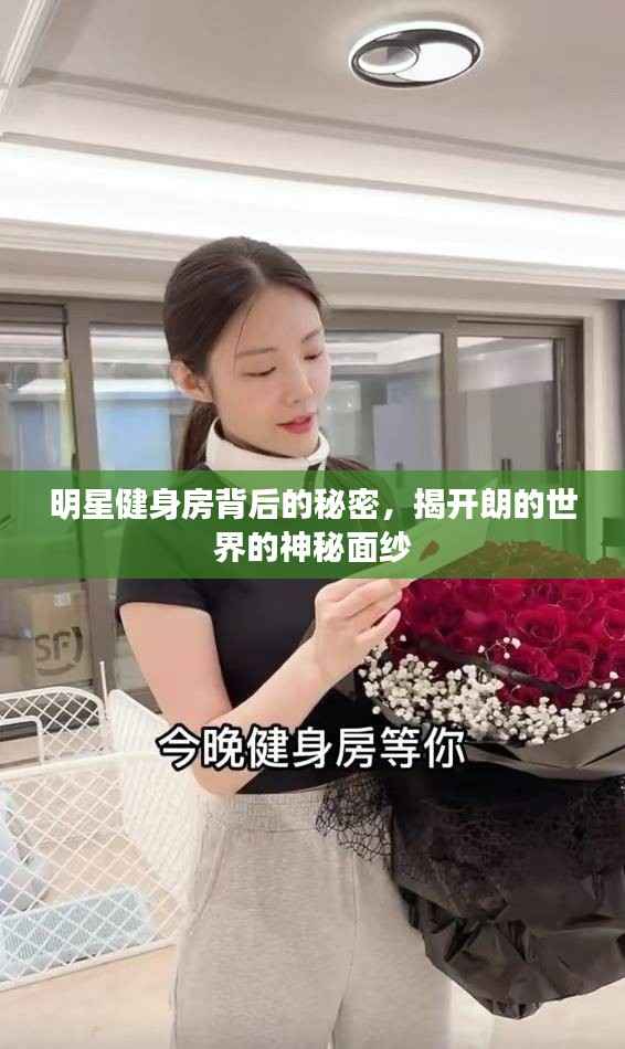 明星健身房背后的秘密,揭开朗的世界的神秘面纱