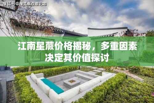 江南星蕨价格揭秘,多重因素决定其价值探讨