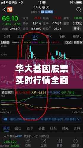 华大基因股票实时行情全面解读