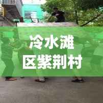 冷水滩区紫荆村新闻聚焦,乡村振兴与社区新貌展现风采