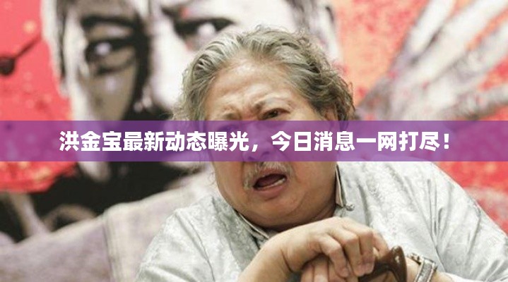 洪金宝最新动态曝光,今日消息一网打尽!