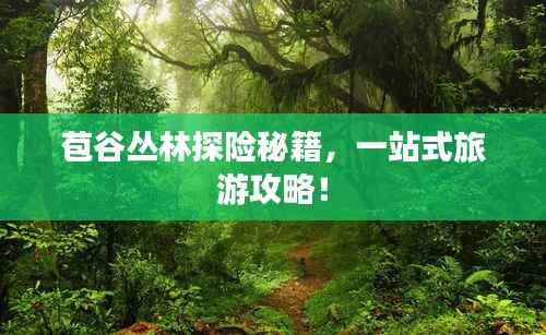 苞谷丛林探险秘籍,一站式旅游攻略!