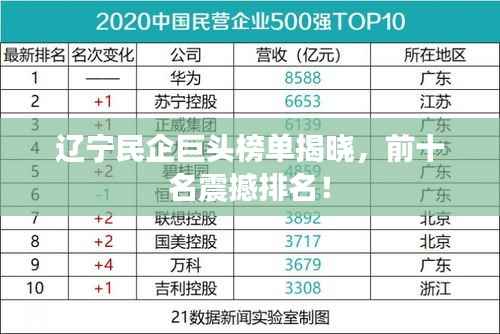 辽宁民企巨头榜单揭晓,前十名震撼排名!