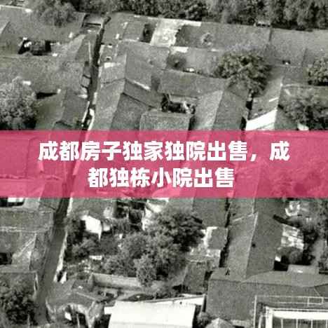 成都房子独家独院出售,成都独栋小院出售