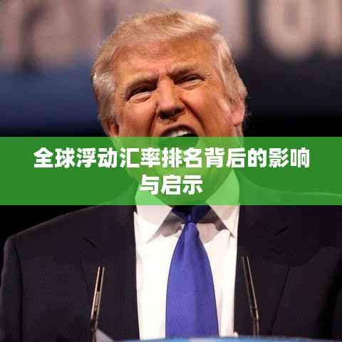 全球浮动汇率排名背后的影响与启示