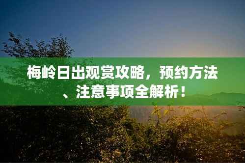 梅岭日出观赏攻略，预约方法、注意事项全解析！