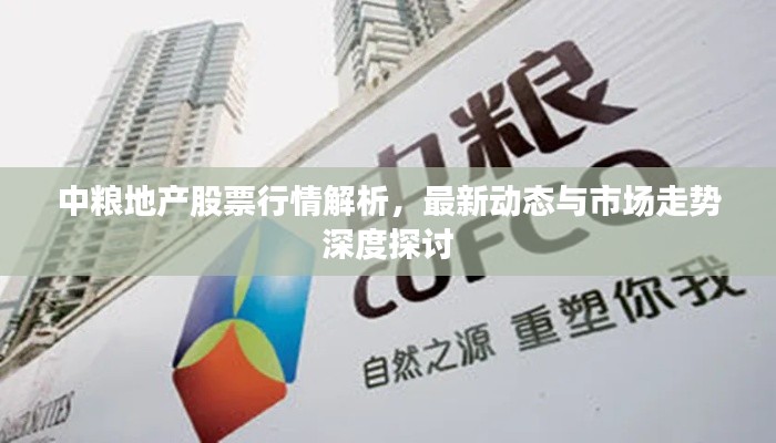 中粮地产股票行情解析,最新动态与市场走势深度探讨