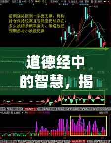 管窥蛙见 第2页