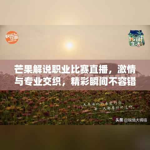 芒果解说职业比赛直播,激情与专业交织,精彩瞬间不容错过!