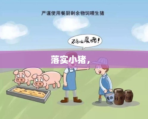 落实小猪， 