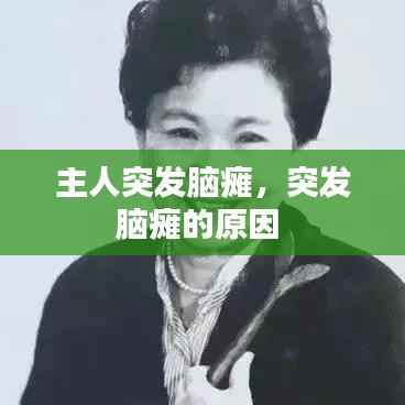 洵属可贵 第2页