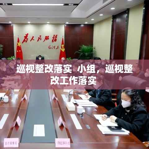 巡视整改落实  小组,巡视整改工作落实