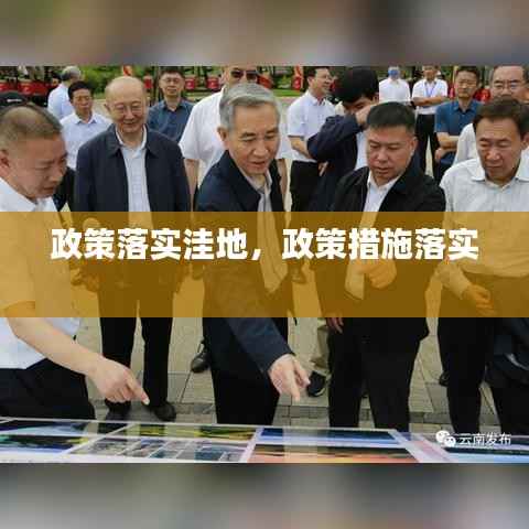 政策落实洼地,政策措施落实