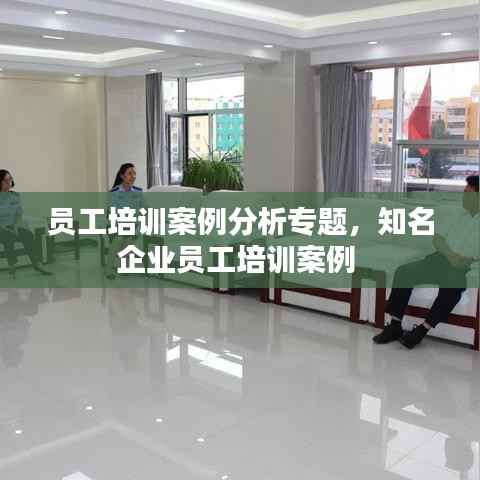 员工培训案例分析专题,知名企业员工培训案例