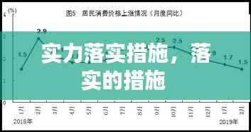 实力落实措施,落实的措施