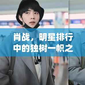 肖战,明星排行中的独树一帜之尊