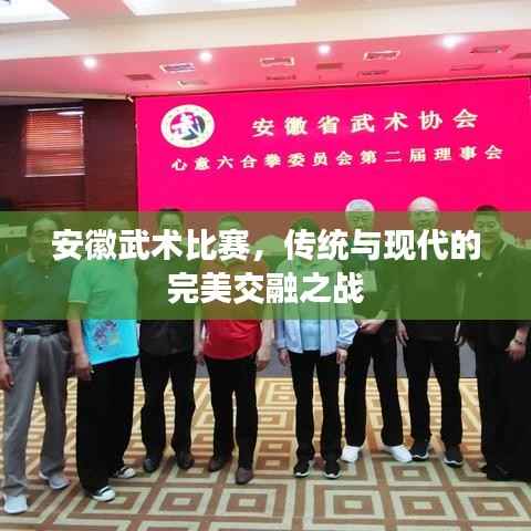 安徽武术比赛，传统与现代的完美交融之战