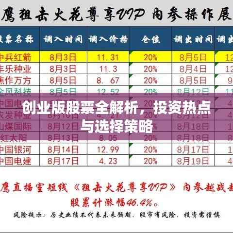 创业版股票全解析，投资热点与选择策略