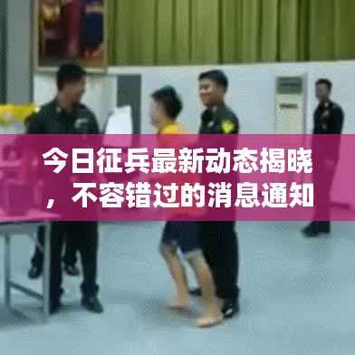 今日征兵最新动态揭晓，不容错过的消息通知！