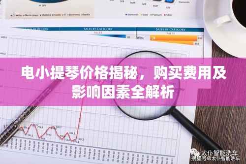 电小提琴价格揭秘，购买费用及影响因素全解析
