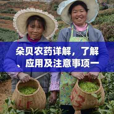 朵贝农药详解，了解、应用及注意事项一网打尽